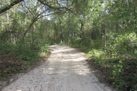 Land in Silver Springs Shores, Florida № 2164285 - photo 22