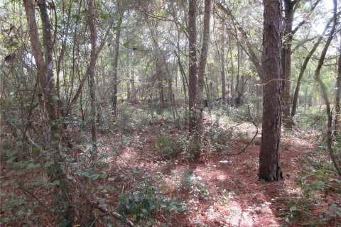 Land in Silver Springs Shores, Florida № 2164285 - photo 6