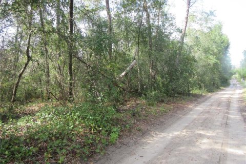 Land in Silver Springs Shores, Florida № 2164285 - photo 12