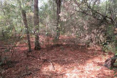 Land in Silver Springs Shores, Florida № 2164285