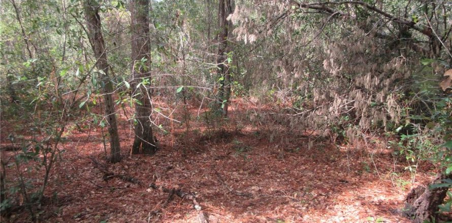 Land in Silver Springs Shores, Florida № 2164285