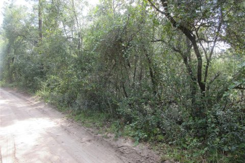 Land in Silver Springs Shores, Florida № 2164285 - photo 13