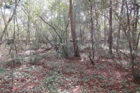 Land in Silver Springs Shores, Florida № 2164285 - photo 5