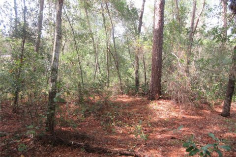 Land in Silver Springs Shores, Florida № 2164285 - photo 3
