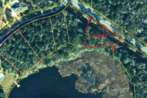 Land in De Funiak Springs, Florida № 561546 - photo 1