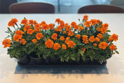 Condominio en alquiler en Miami, Florida, 1 dormitorio, 89.09 m2 № 1992865 - foto 19