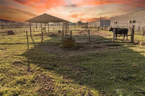 Terreno en venta en Wildwood, Florida № 1546615 - foto 2