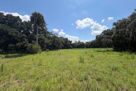Immobilier commercial à vendre à Okeechobee, Floride № 2187271 - photo 3