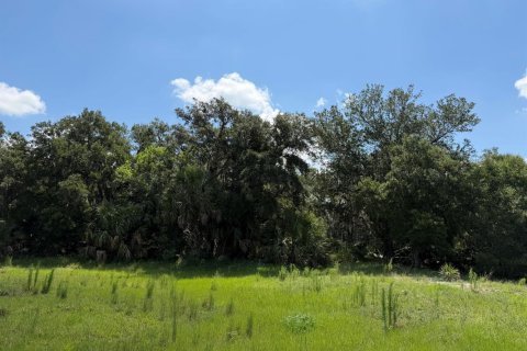 Immobilier commercial à vendre à Okeechobee, Floride № 2187271 - photo 5