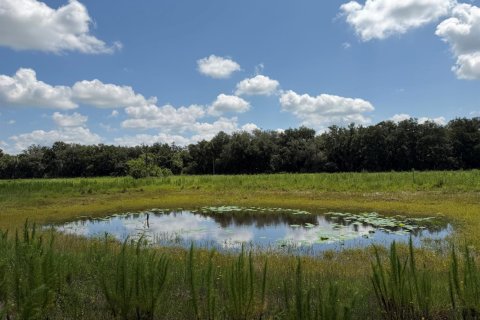 Immobilier commercial à vendre à Okeechobee, Floride № 2187271 - photo 6