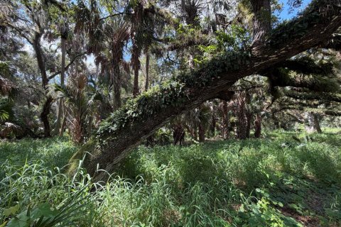 Commercial property in Okeechobee, Florida № 2187271
