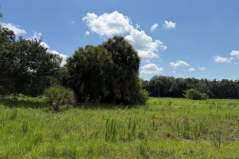 Immobilier commercial à vendre à Okeechobee, Floride № 2187271 - photo 4