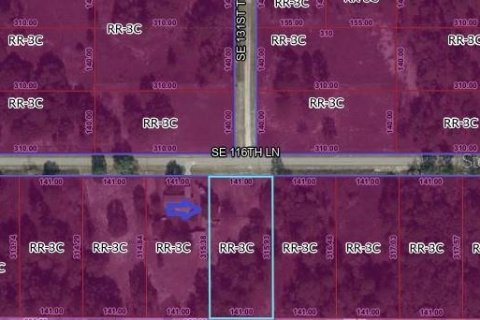 Land in Dunnellon, Florida № 2163381 - photo 2