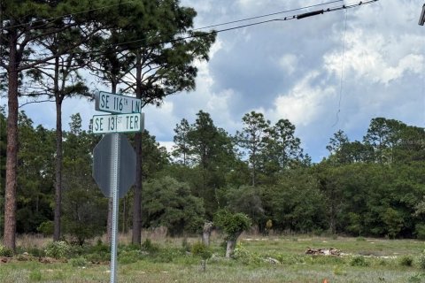 Land in Dunnellon, Florida № 2163381 - photo 3
