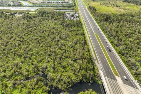 Land in Wimauma, Florida № 1824260 - photo 22