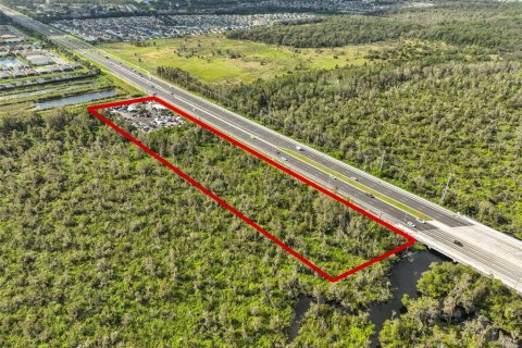 Land in Wimauma, Florida № 1824260 - photo 20