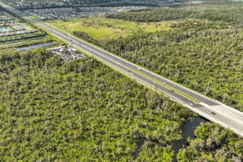 Land in Wimauma, Florida № 1824260 - photo 2