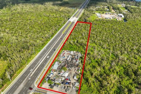 Land in Wimauma, Florida № 1824260 - photo 12