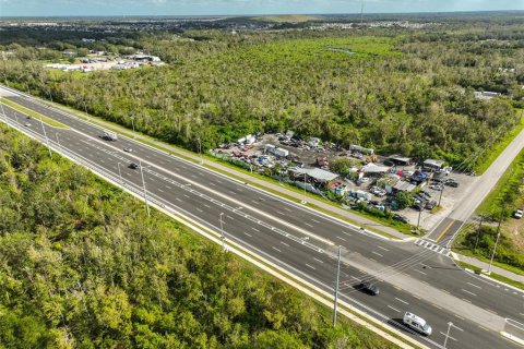 Land in Wimauma, Florida № 1824260 - photo 5