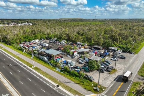 Land in Wimauma, Florida № 1824260 - photo 4