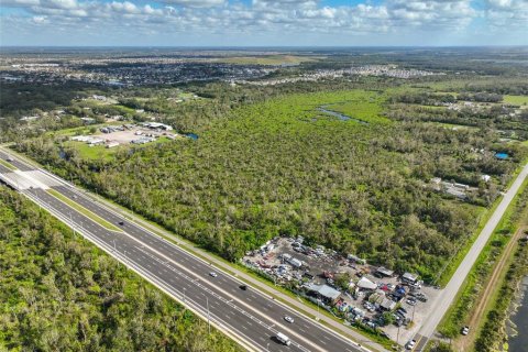 Land in Wimauma, Florida № 1824260 - photo 26