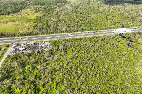 Land in Wimauma, Florida № 1824260 - photo 18