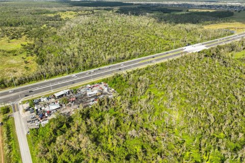 Land in Wimauma, Florida № 1824260 - photo 16