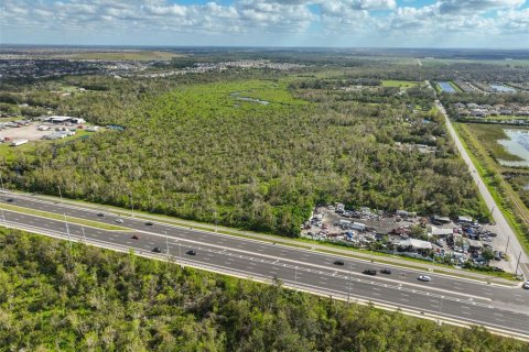 Land in Wimauma, Florida № 1824260 - photo 27