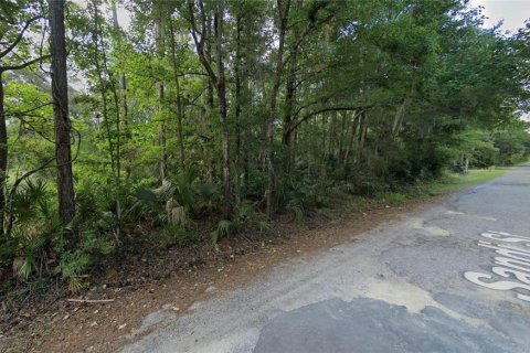 Terreno en venta en Inglis, Florida № 1438758 - foto 2