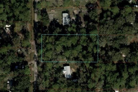 Terreno en venta en Inglis, Florida № 1438758 - foto 4