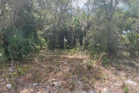 Terrain à North Port, Floride № 2165772