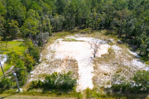 Land in Hastings, Florida № 2118330