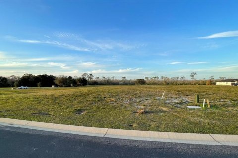 Terrain à vendre à Auburndale, Floride № 966643 - photo 3