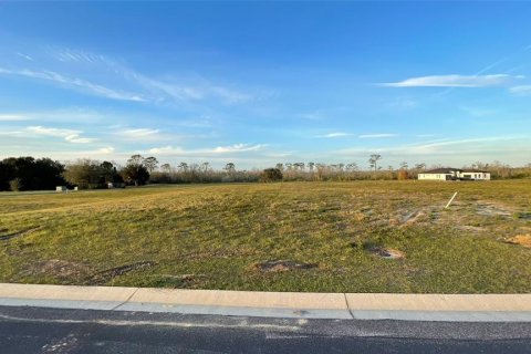 Terrain à vendre à Auburndale, Floride № 966643 - photo 6