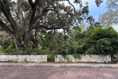 Terrain à Safety Harbor, Floride № 2391275