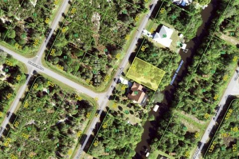 Land in Port Charlotte, Florida № 297560 - photo 1
