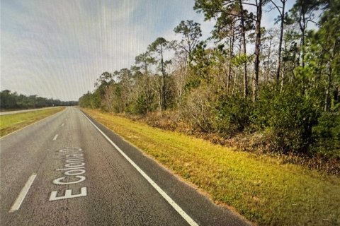 Terreno en venta en Christmas, Florida № 1918640 - foto 1