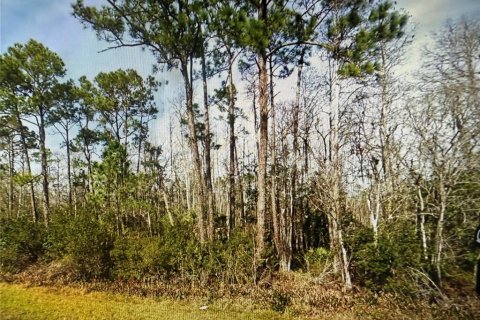 Terreno en venta en Christmas, Florida № 1918640 - foto 3