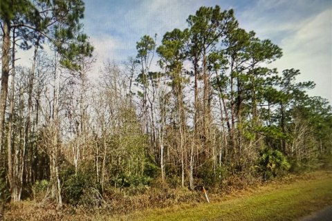 Terreno en venta en Christmas, Florida № 1918640 - foto 2