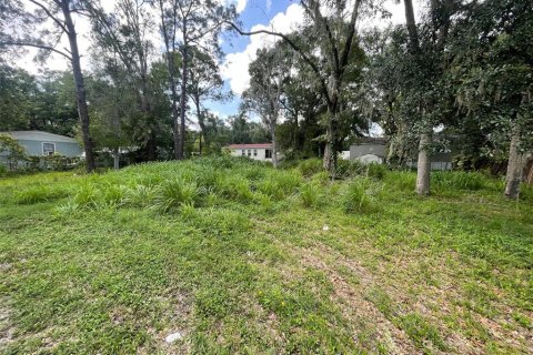 Land in Orlando, Florida № 1821154 - photo 4
