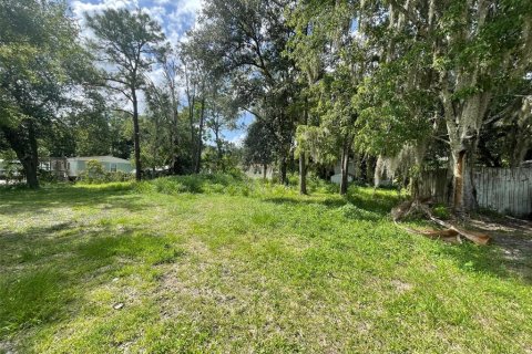 Land in Orlando, Florida № 1821154 - photo 7