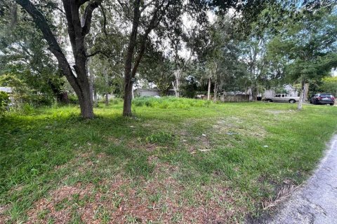 Land in Orlando, Florida № 1821154 - photo 1