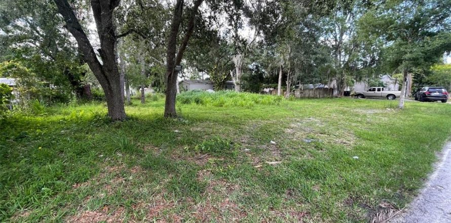 Land in Orlando, Florida № 1821154