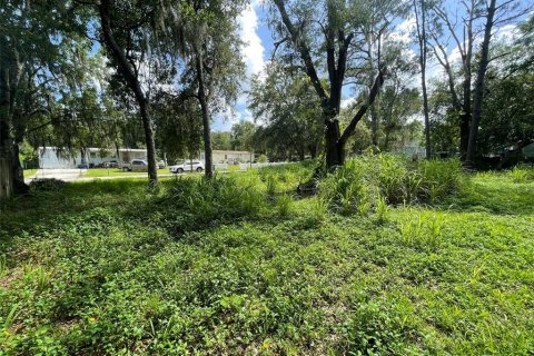 Land in Orlando, Florida № 1821154 - photo 5