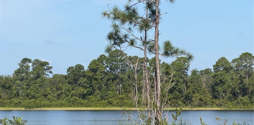 Terrain à Ocklawaha, Floride № 2203710