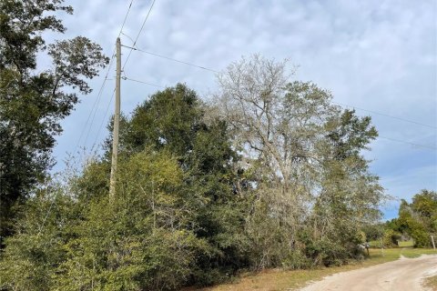 Terreno en venta en Groveland, Florida № 1286096 - foto 4