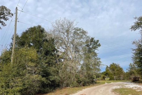 Terreno en venta en Groveland, Florida № 1286096 - foto 5