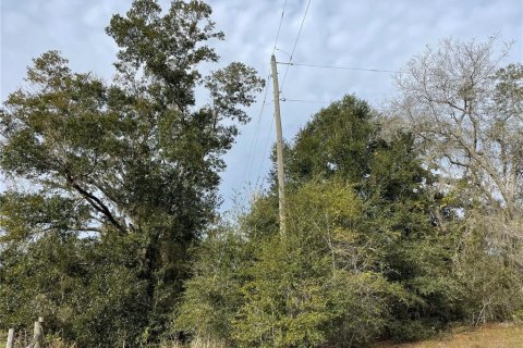 Terreno en venta en Groveland, Florida № 1286096 - foto 3