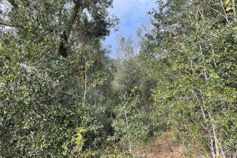 Terreno en venta en Groveland, Florida № 1286096 - foto 8