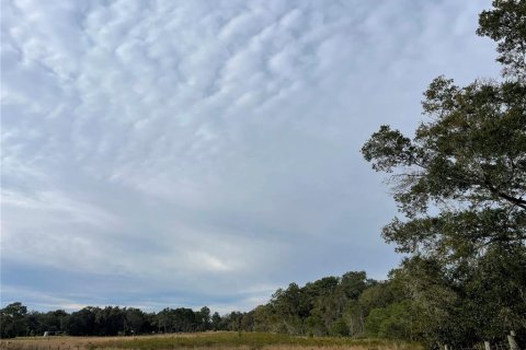 Terreno en venta en Groveland, Florida № 1286096 - foto 2